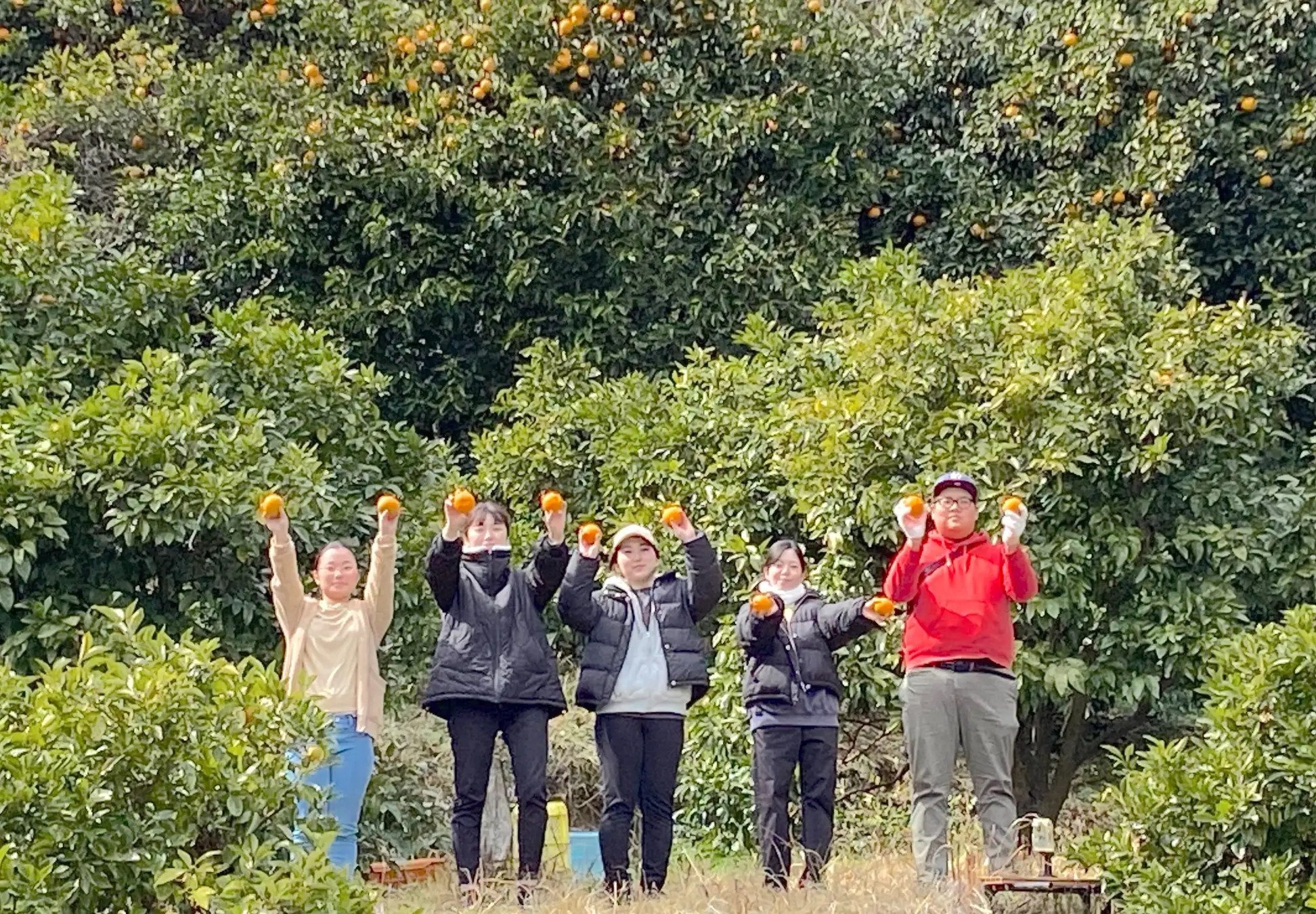 企業としての取り組み