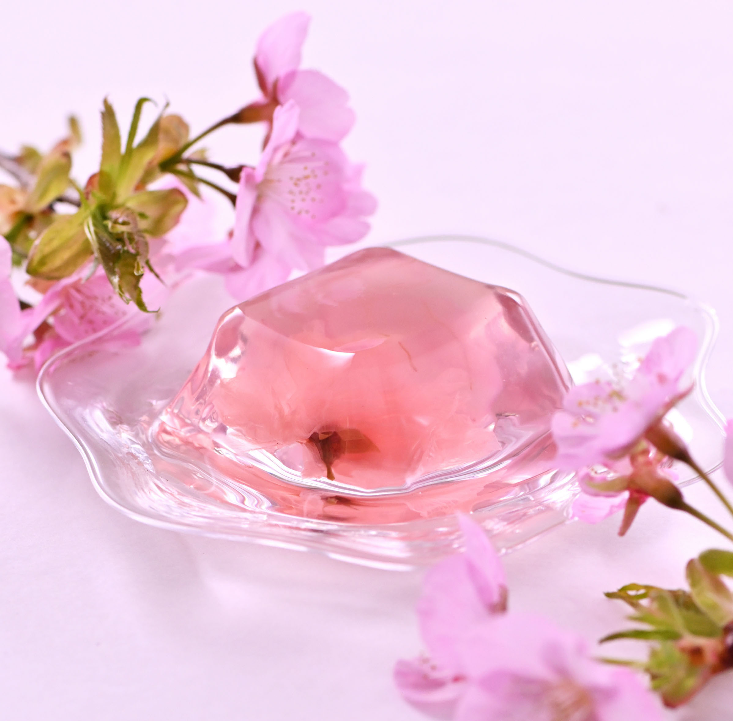 桜ゼリー